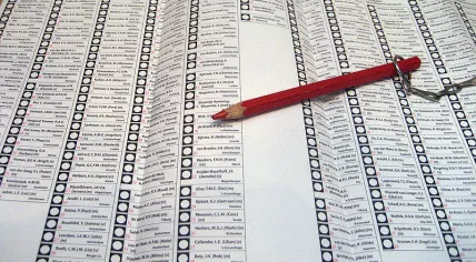 Voting