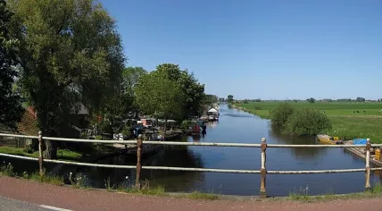 Hoendiep