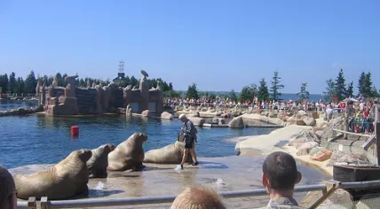 Dolfinarium