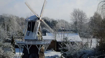 Winter