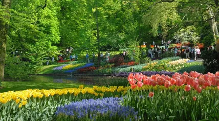 Keukenhof