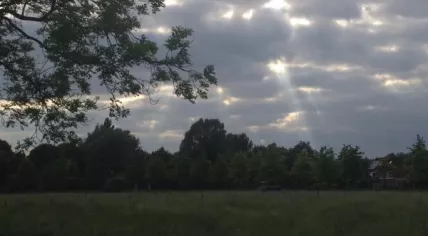 Ascension Day photo