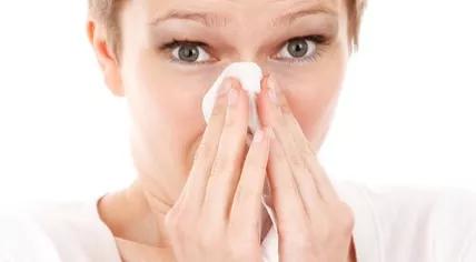 The Flu