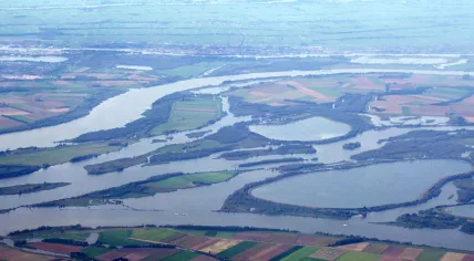 Brabant