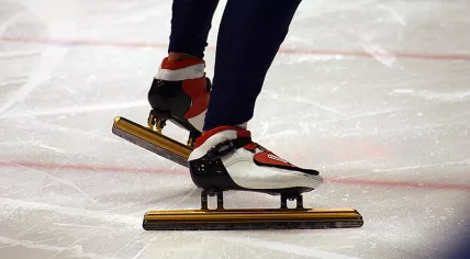 Skates