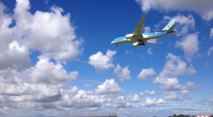 Arke 787