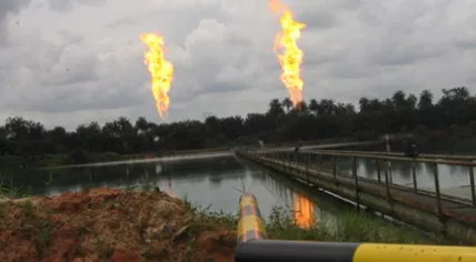 Niger Delta