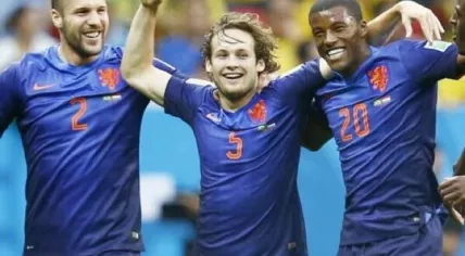 Blind goal