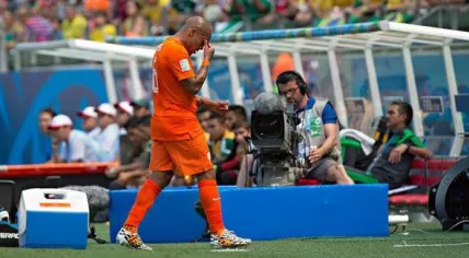 Nigel de Jong