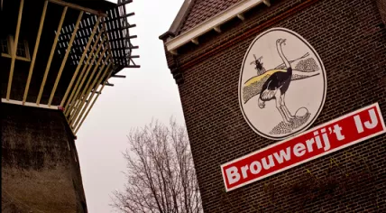 Brouwerij 't IJ