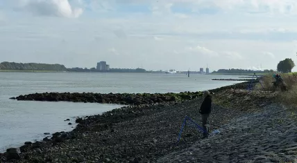 Nieuwe Waterweg