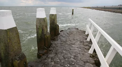 Dike