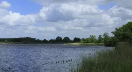 The Vinkeveense Plassen. Source: Wikimedia/Jan Dijkstra