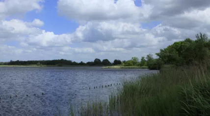 Vinkeveense Plassen