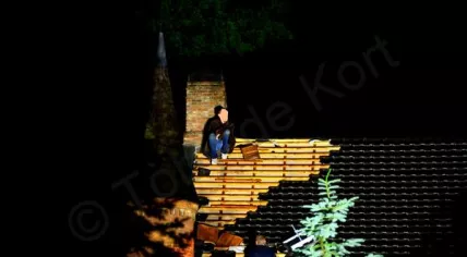 Burglar sits on roof