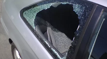 car theft
