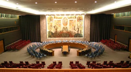 UN Security Council