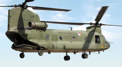 Chinook