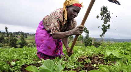 Farmer