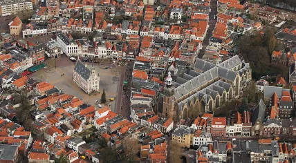 Gouda