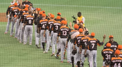 baseball