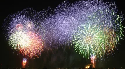1280px-Hanabi_in_Adachi-ku1