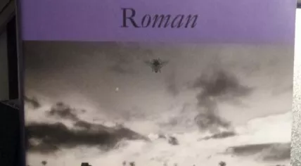 B2WgNVXIIAAm6Ua