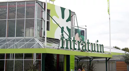 Intratuin