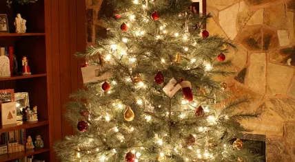 12242008_ChristmasEve00028