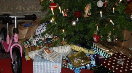 Weihnachten_2008