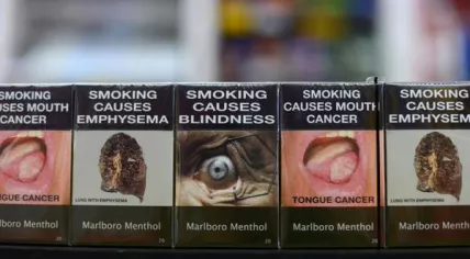 Horror pics back on tobacco; e-cigarettes only for 18 : Health Sec. | NL  Times