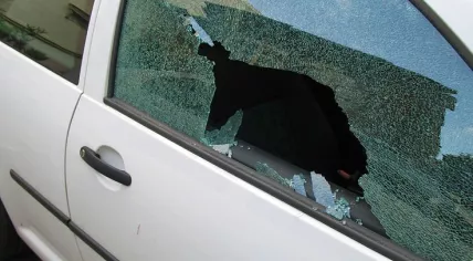 737px-Drogenbeschaffungskriminalitaet_9526