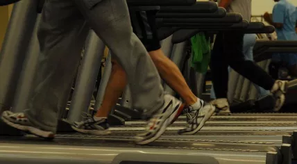 800px-Treadmills_at_gym
