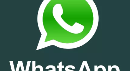 WhatsApp_logo1.svg