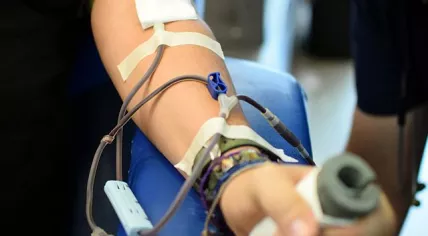 Blood_donation_(in_progress)