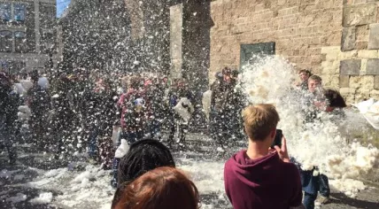 Utrecht 2015 Pillow Fight