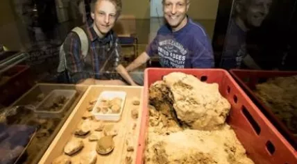 mosasauruslars_600x330