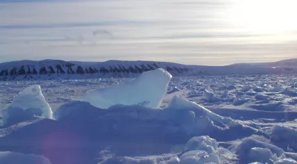 Edgeøya