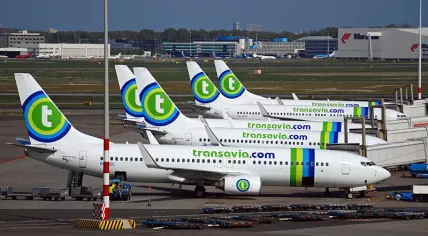 Transavia airplanes at Schiphol