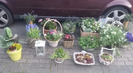 bloemen-grafschennis