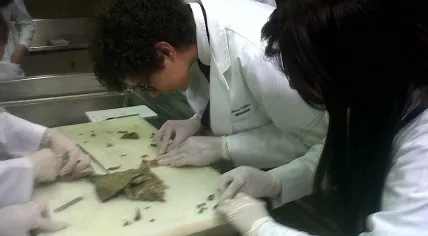 800px-Medical_Students