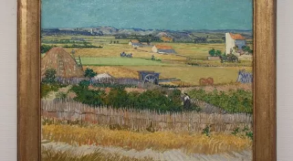 de_oogst_vincent_van_gogh