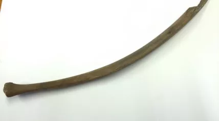 edelhert