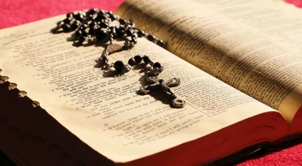 Bible-706658