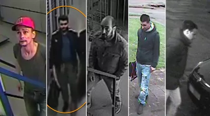 Nieuwegein armed invasion suspects