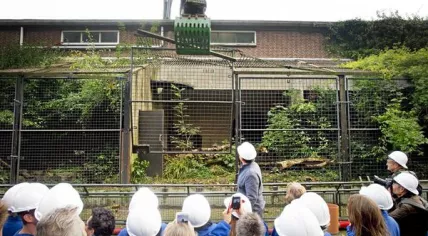 Artis Big Cat renovation