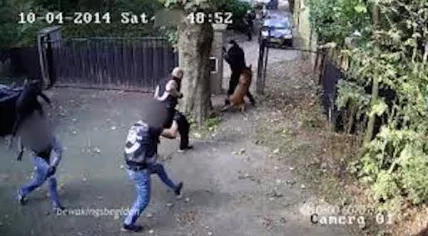 Satudarah - No Surrender shootout