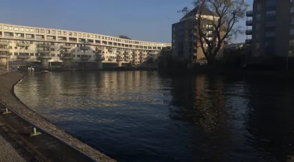 Amsterdam sun