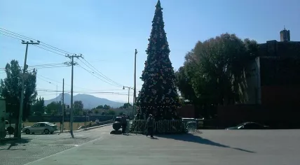 800px-Arbol_de_navidad_en_actopan