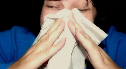 Sneeze_in_white_hankie